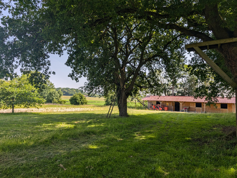 French property for sale in Saint-Mard-de-Réno, Orne - €1,050,000 - photo 7