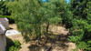 French property for sale in Civray, Vienne - €399,950 - thumbnail 9