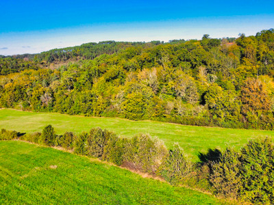 French property for sale in Saint-Paul-de-Serre, Dordogne - €77,390 - photo 3