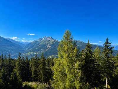 Ski property for sale in La Rosiere - €1,995,000 - photo 7