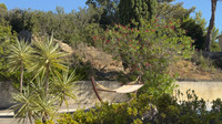 Propriété à vendre à Bize-Minervois, Aude - 390 000 € - photo n°13