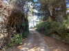 French property for sale in Limoux, Aude - €268,097 - thumbnail 9