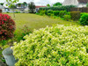French property for sale in Orléans, Loiret - €447,000 - thumbnail 9