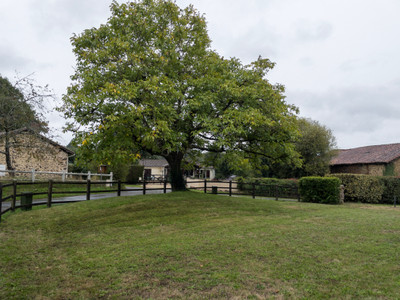 French property for sale in Videix, Haute-Vienne - €183,600 - photo 7