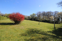 Propriété à vendre à Saint-Hippolyte, Indre-et-Loire - 239 000 € - photo n°13