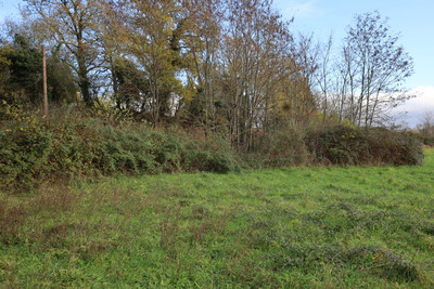 French property for sale in Thonac, Dordogne - €75,210 - photo 4