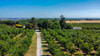 French property for sale in Tournon-d'Agenais, Lot-et-Garonne - €690,000 - thumbnail 14