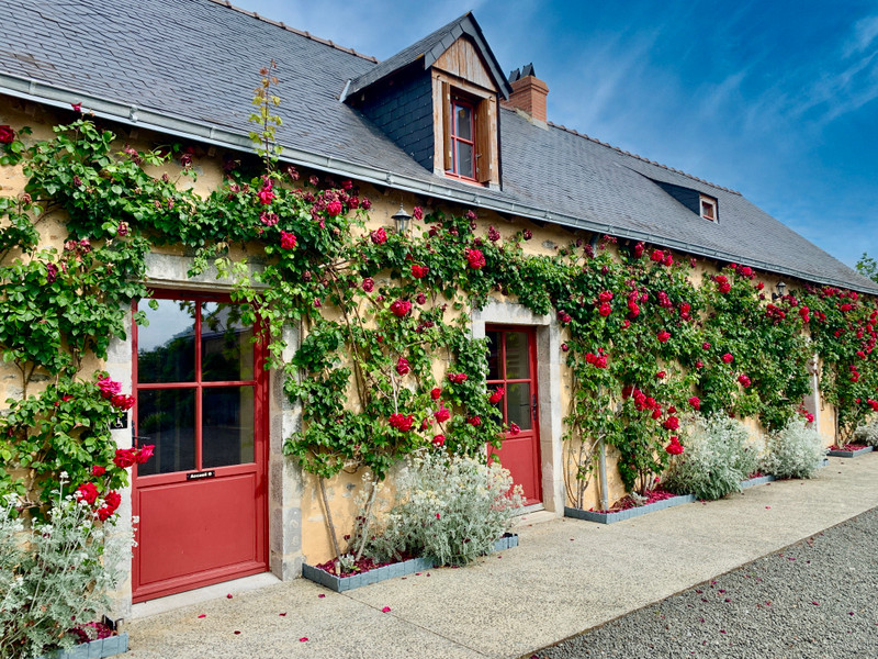 French property for sale in Saint-Pierre-sur-Erve, Mayenne - €850,000 - photo 3