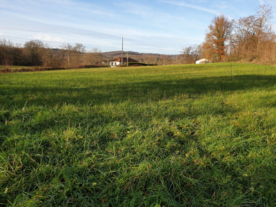 French property for sale in Tourtoirac, Dordogne - €31,000 - photo 3