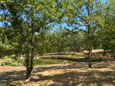 French property for sale in Bagnols-en-Forêt, Var - €1,620,000 - photo 3