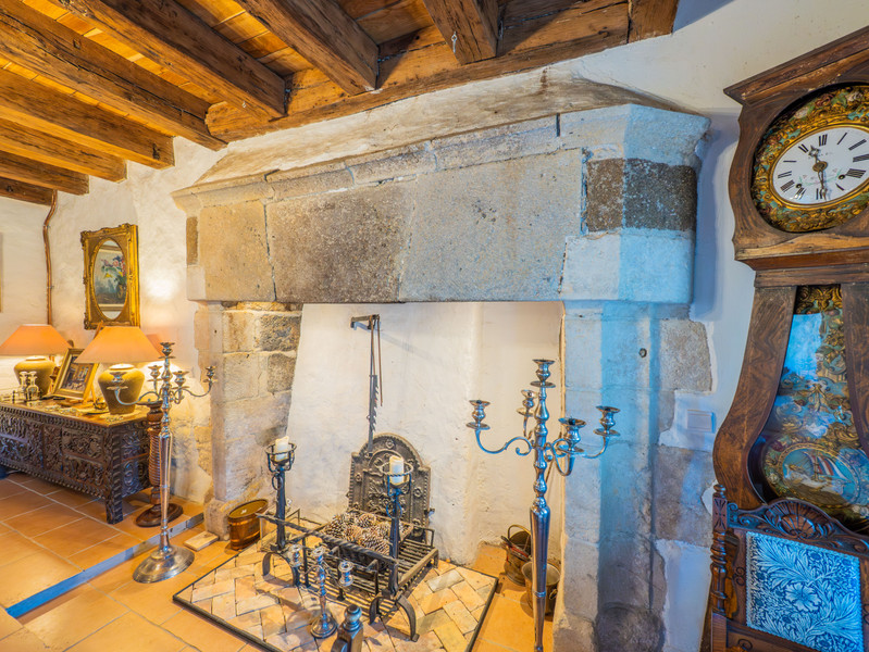 French property for sale in Brigueil-le-Chantre, Vienne - €990,150 - photo 4