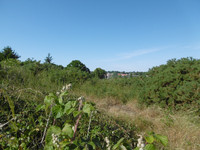 Terrain à vendre à Gorron, Mayenne - 91.500 € - photo 12