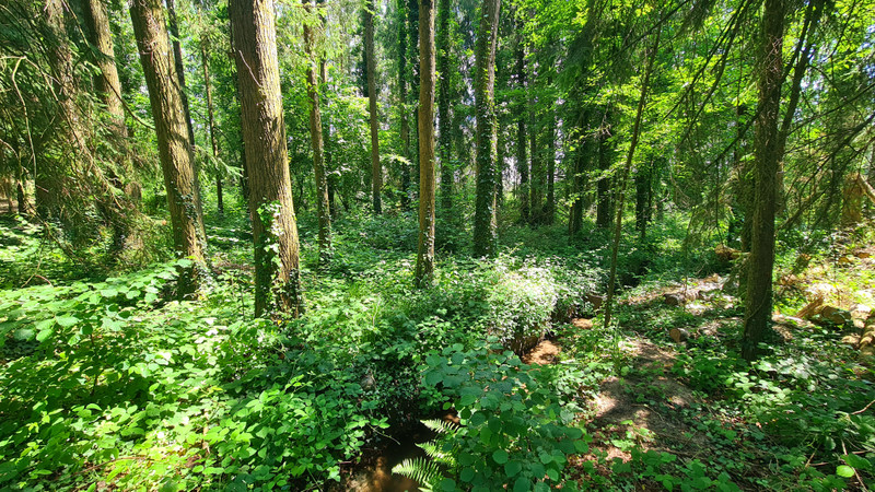 French property for sale in Ceaucé, Orne - €250,000 - photo 13