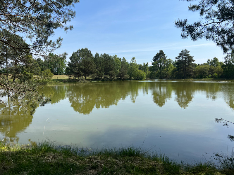 Lake for sale in Pensol HauteVienne A beautiful lake hidden away