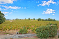 Propriété à vendre à Duras, Lot-et-Garonne - 2 650 000 € - photo n°2