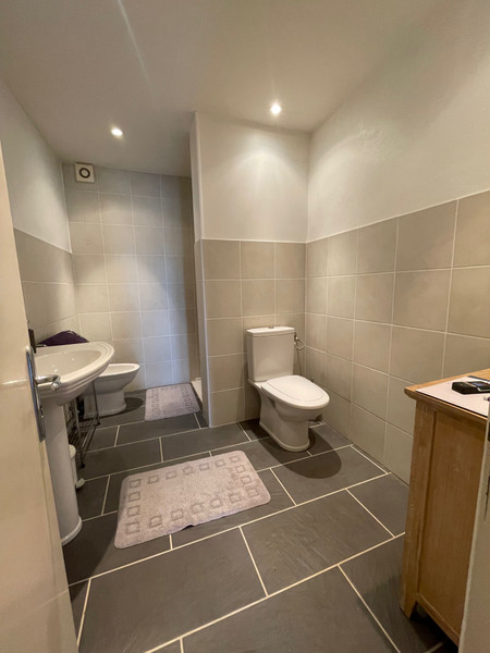 French property for sale in Seissan, Gers - €320,000 - photo 5