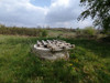 French property for sale in Villefranche-de-Lonchat, Dordogne - €44,600 - thumbnail 9
