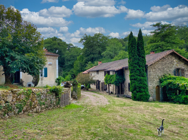 French property for sale in Savignac-de-Nontron, Dordogne - €990,000 - photo 1