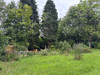 French property for sale in Cussac, Haute-Vienne - €189,000 - thumbnail 9