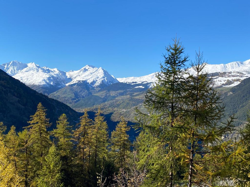 Ski property for sale in Sainte Foy - €215,000 - photo 14