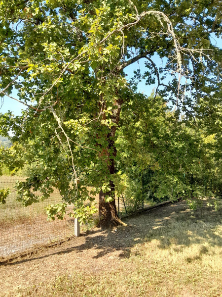 French property for sale in Montcuq-en-Quercy-Blanc, Lot - €52,000 - photo 9