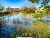 Commerce à vendre à Le Ham, Manche - 779.100 € - photo 3