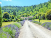 French property for sale in Alès, Gard - €1,475,000 - thumbnail 14