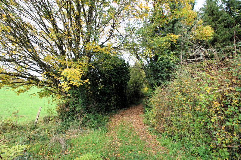 French property for sale in Nanteuil-en-Vallée, Charente - €136,250 - photo 7