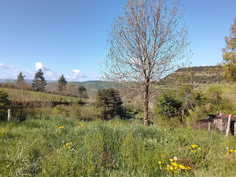 French property for sale in Barre-des-Cévennes, Lozère - €369,000 - photo 6