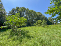 Propriété à vendre à Breuil-Barret, Vendée - 41 600 € - photo n°10