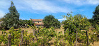 Propriété à vendre à Maillezais, Vendée - 249 900 € - photo n°3