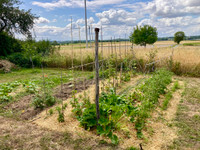 Maison à vendre à Brissac Loire Aubance, Maine-et-Loire - 489.500 € - photo 12