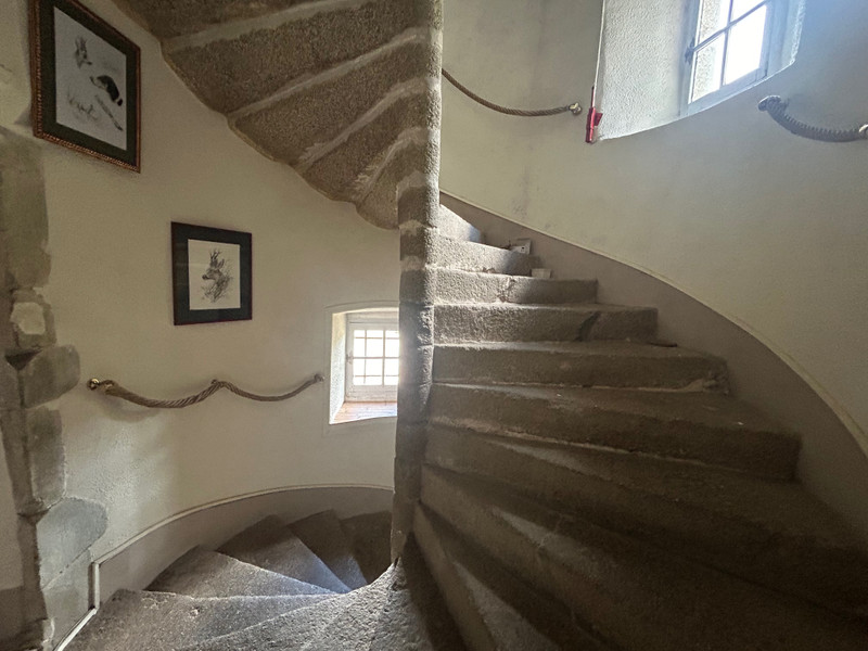 French property for sale in Laval, Mayenne - €1,970,000 - photo 6