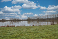 Lacs à vendre à Connerré, Sarthe - 185 760 € - photo 4
