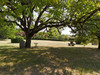 French property for sale in Plazac, Dordogne - €1,550,000 - thumbnail 9
