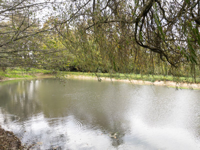 French property for sale in Maisonnais-sur-Tardoire, Haute-Vienne - €217,500 - photo 4