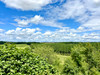 French property for sale in Duras, Lot-et-Garonne - €1,250,000 - thumbnail 9