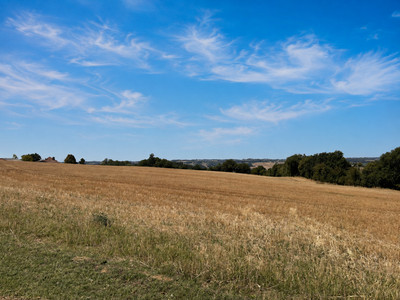 French property for sale in Saint-Paul-d'Espis, Tarn-et-Garonne - €415,000 - photo 9