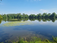 Lacs à vendre à Juvigné, Mayenne - 768.500 € - photo 4