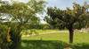 French property for sale in Gargas, Vaucluse - €398,000 - thumbnail 9