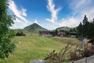 Ski property for sale in  - €1,500,000 - photo 8
