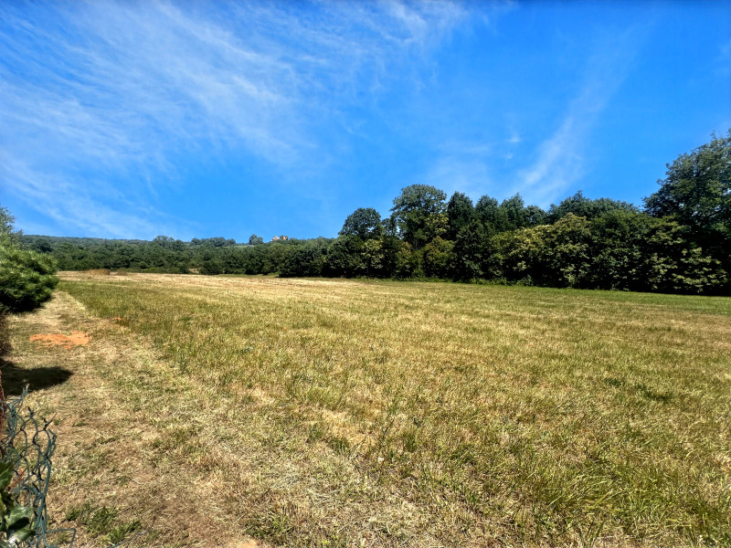 French property for sale in Lussas-et-Nontronneau, Dordogne - €333,900 - photo 6