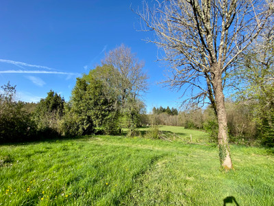 French property for sale in Vayres, Haute-Vienne - €24,500 - photo 10