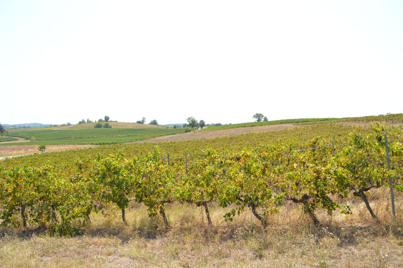 French property for sale in Castelviel, Gironde - €795,000 - photo 0