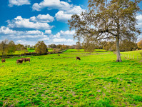 Maison à vendre à Saint-Hilaire-la-Treille, Haute-Vienne - 265.000 € - photo 10