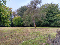 Maison à Champagné-Saint-Hilaire, Vienne - photo 8