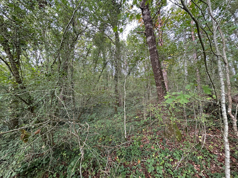 French property for sale in Sanilhac, Dordogne - €26,600 - photo 5