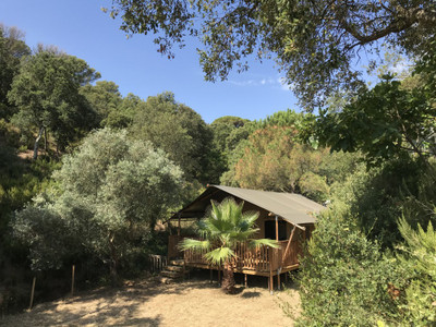 French property for sale in Fréjus, Var - €3,675,000 - photo 3