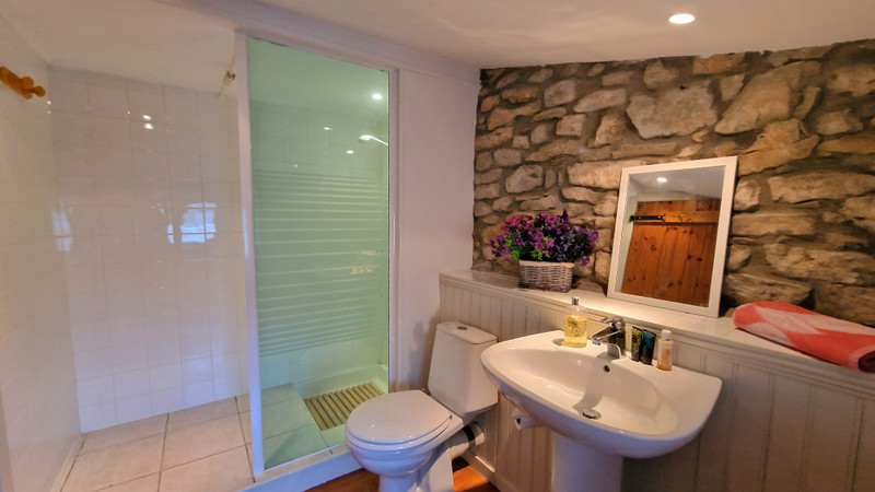 French property for sale in Félines-Minervois, Hérault - €115,000 - photo 7