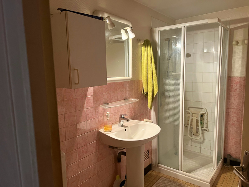 French property for sale in Valence-en-Poitou, Vienne - €66,600 - photo 6